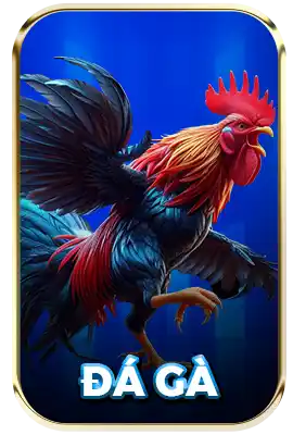 đá gà
