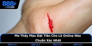 Mơ Thấy Máu Đặt Tiền Cho Lô Online Nào Chuẩn Xác Nhất