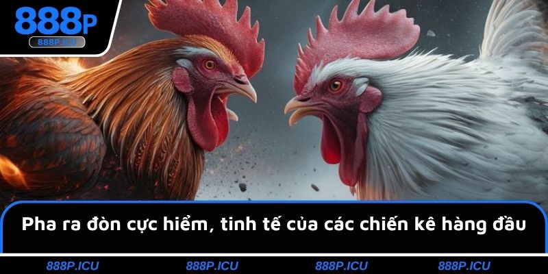Pha ra đòn cực hiểm, tinh tế của các chiến kê hàng đầu